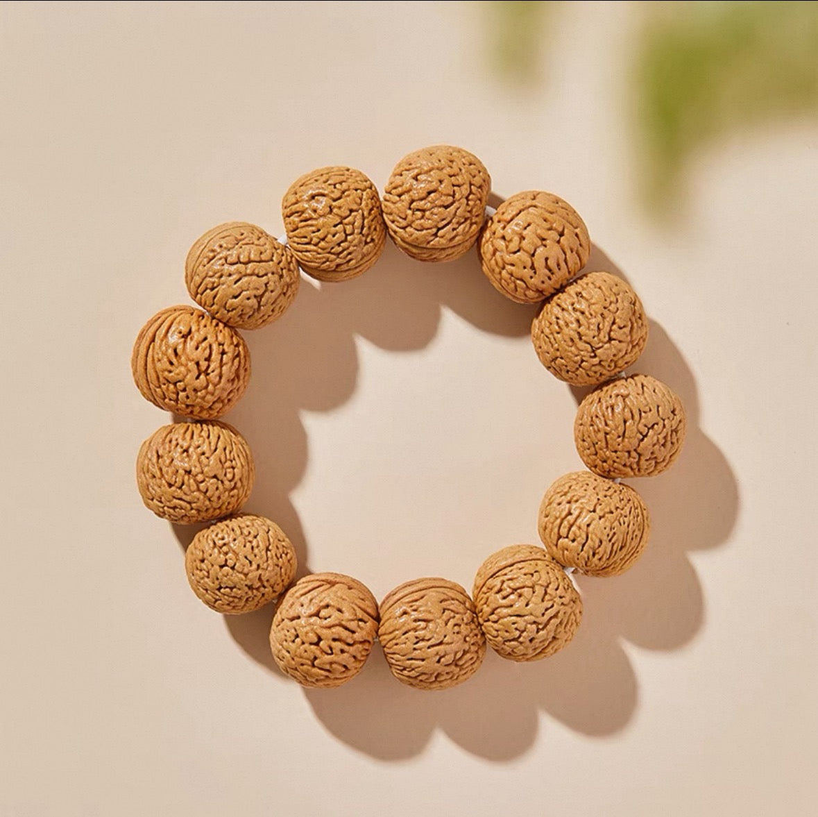 Aged Walnut Bracelet : 15mm - Seekcase