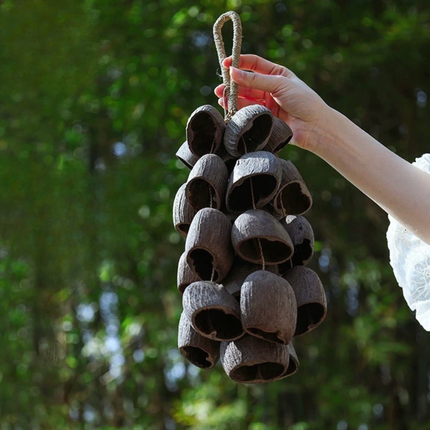 Nature's Harmony Seed Wind Chime : Single Fruit - Seekcase