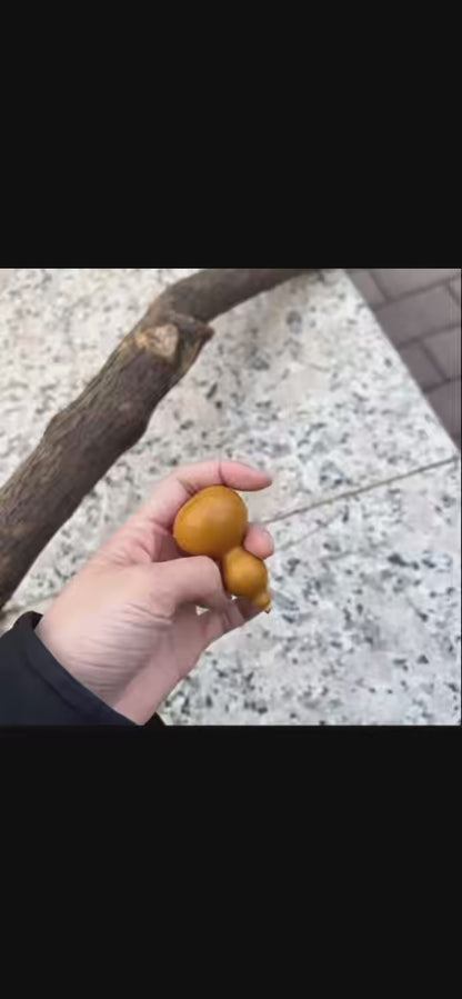 Mini Gourd Stress Relief Tool